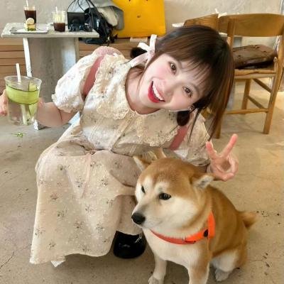 重生退婚妻 动态漫画